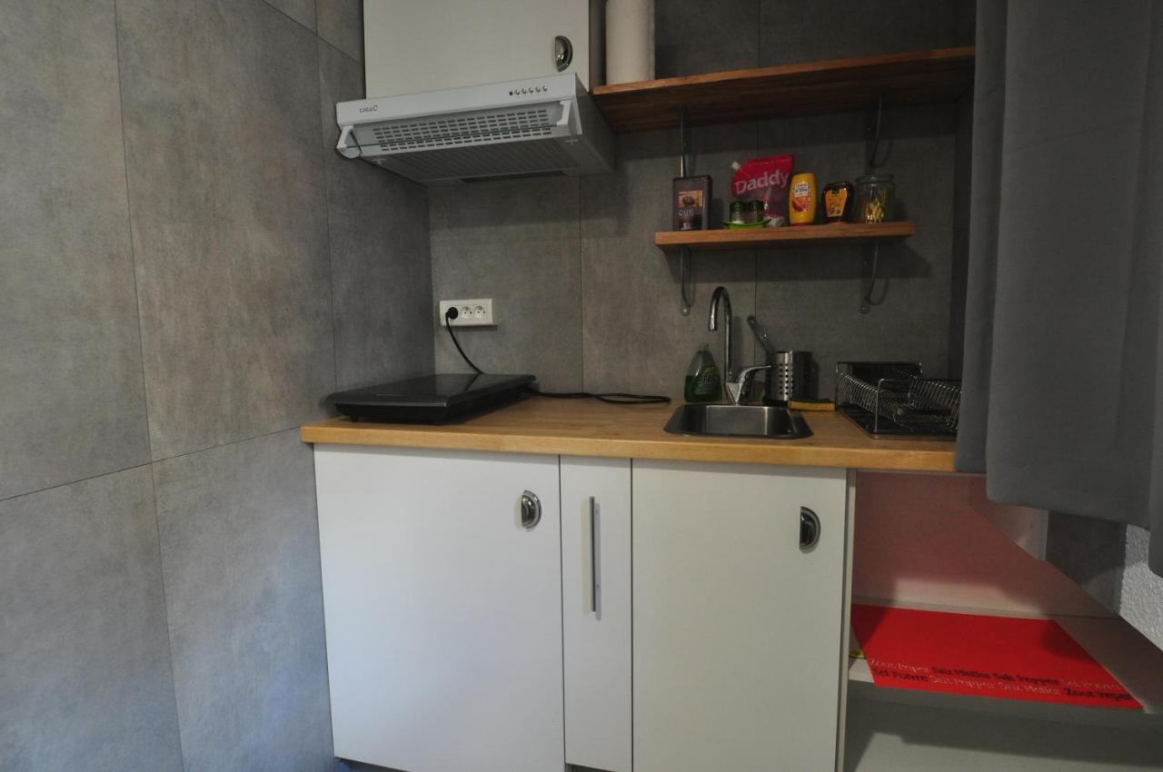 Beaublache Residence Studios Meubles Grenoble Luaran gambar