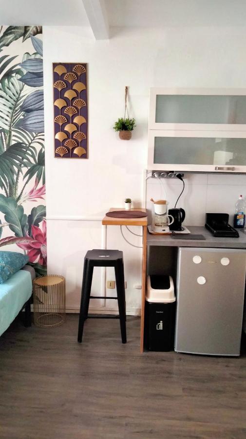 Beaublache Residence Studios Meubles Grenoble Luaran gambar