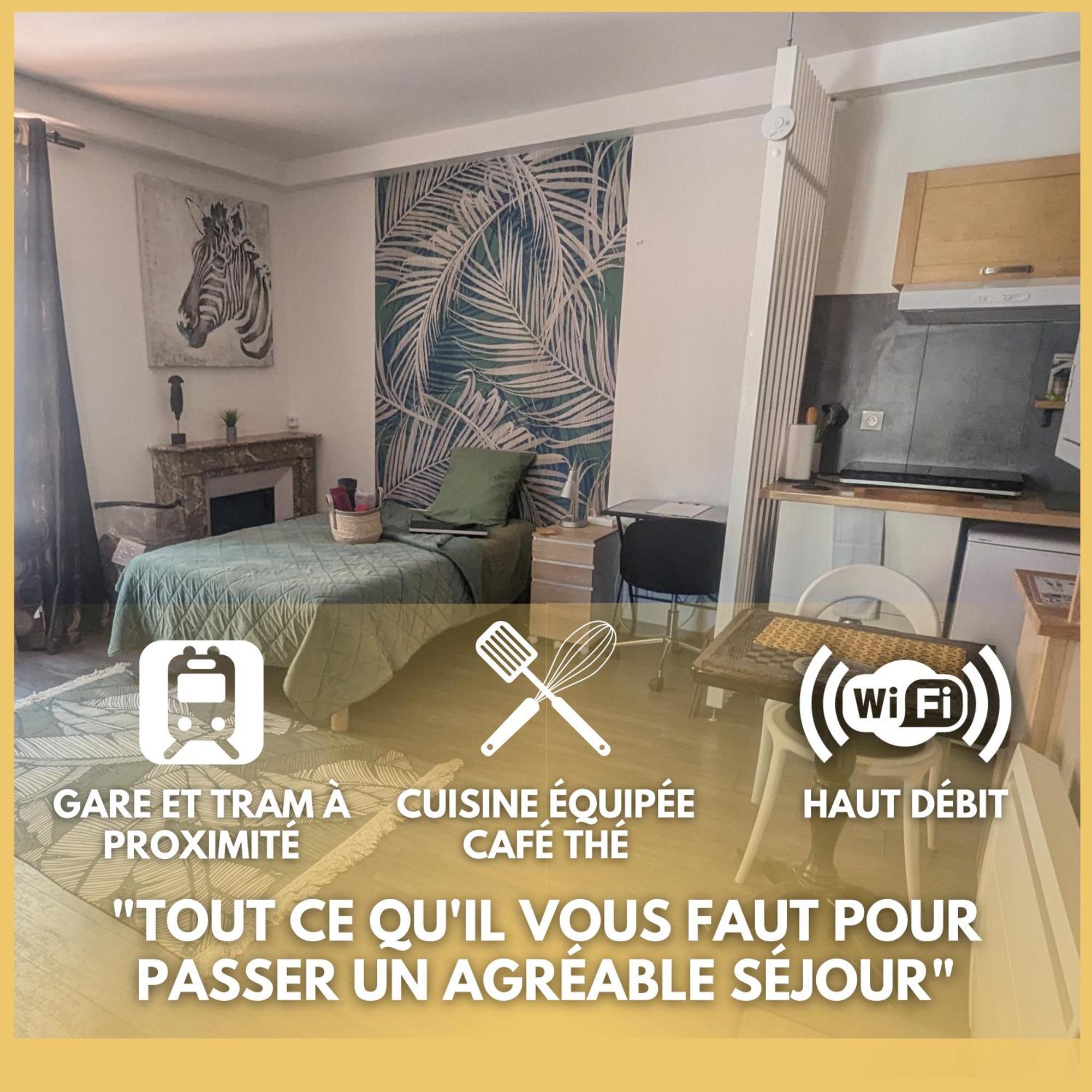Beaublache Residence Studios Meubles Grenoble Luaran gambar